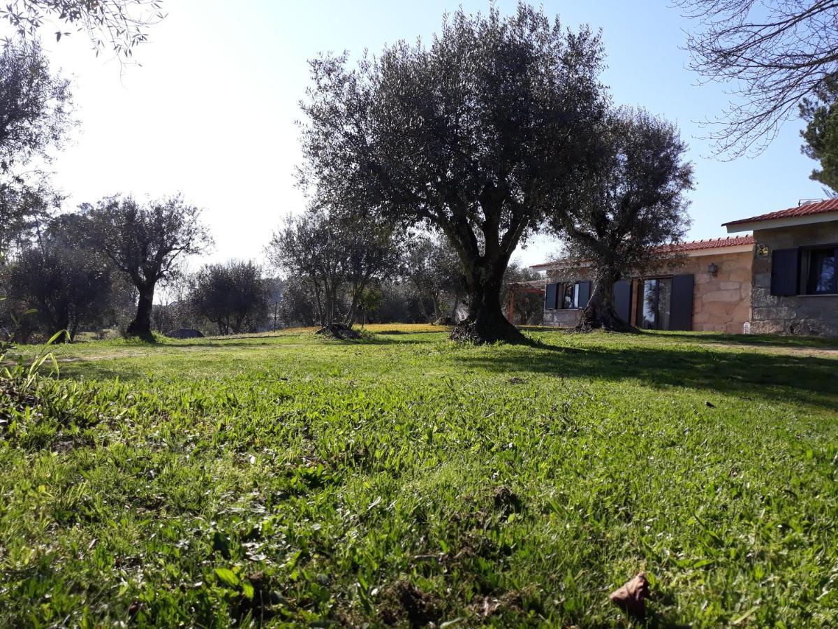 Gasthaus Quinta Da Pedra Mija Santar Exterior foto