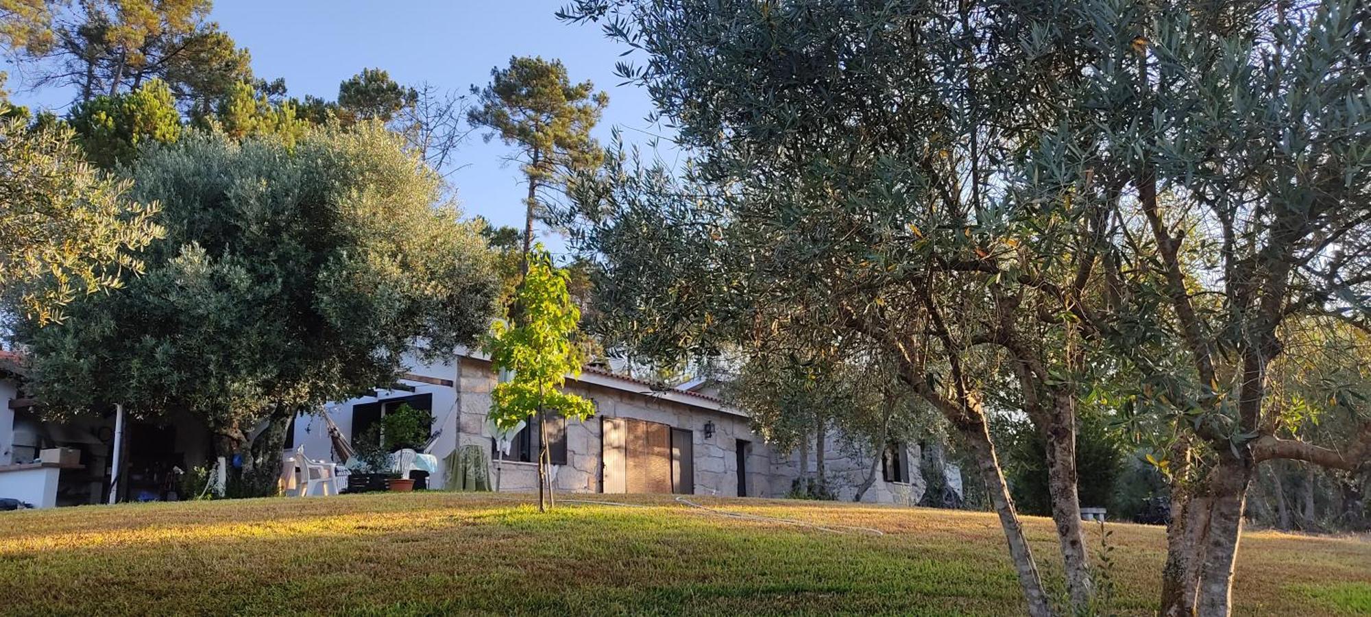 Gasthaus Quinta Da Pedra Mija Santar Exterior foto