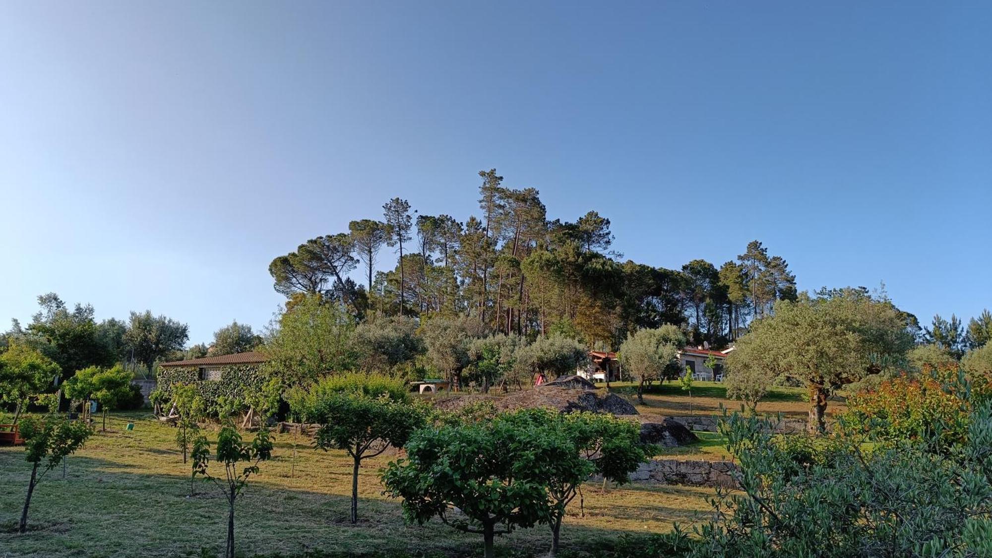 Gasthaus Quinta Da Pedra Mija Santar Exterior foto