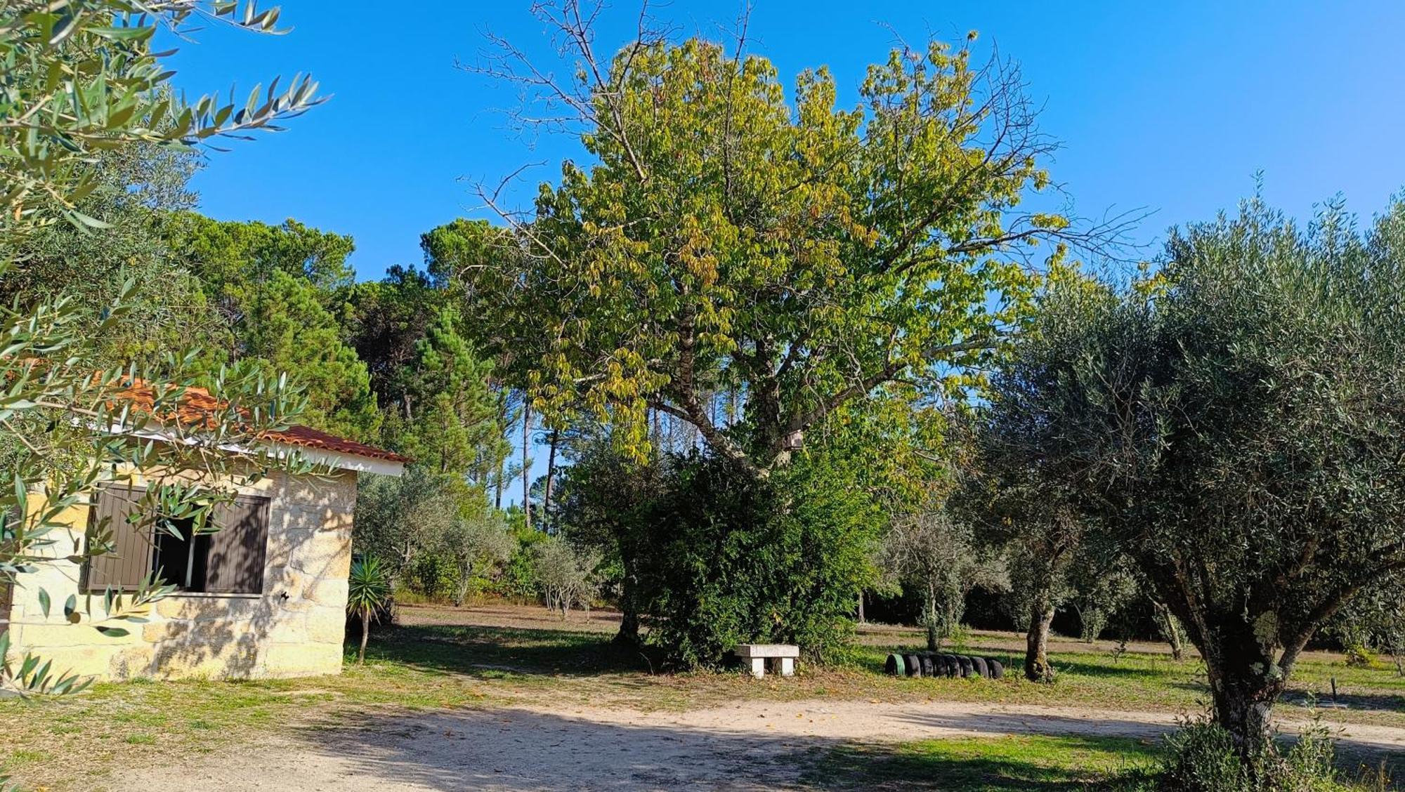 Gasthaus Quinta Da Pedra Mija Santar Exterior foto