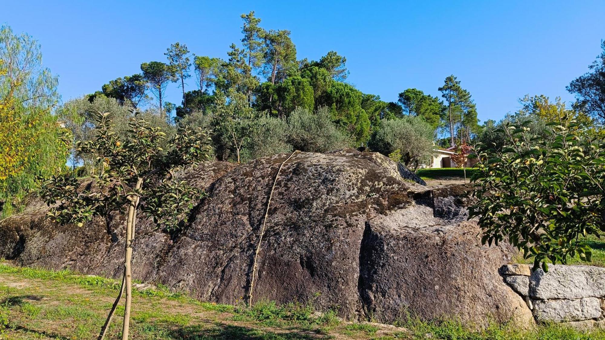 Gasthaus Quinta Da Pedra Mija Santar Exterior foto