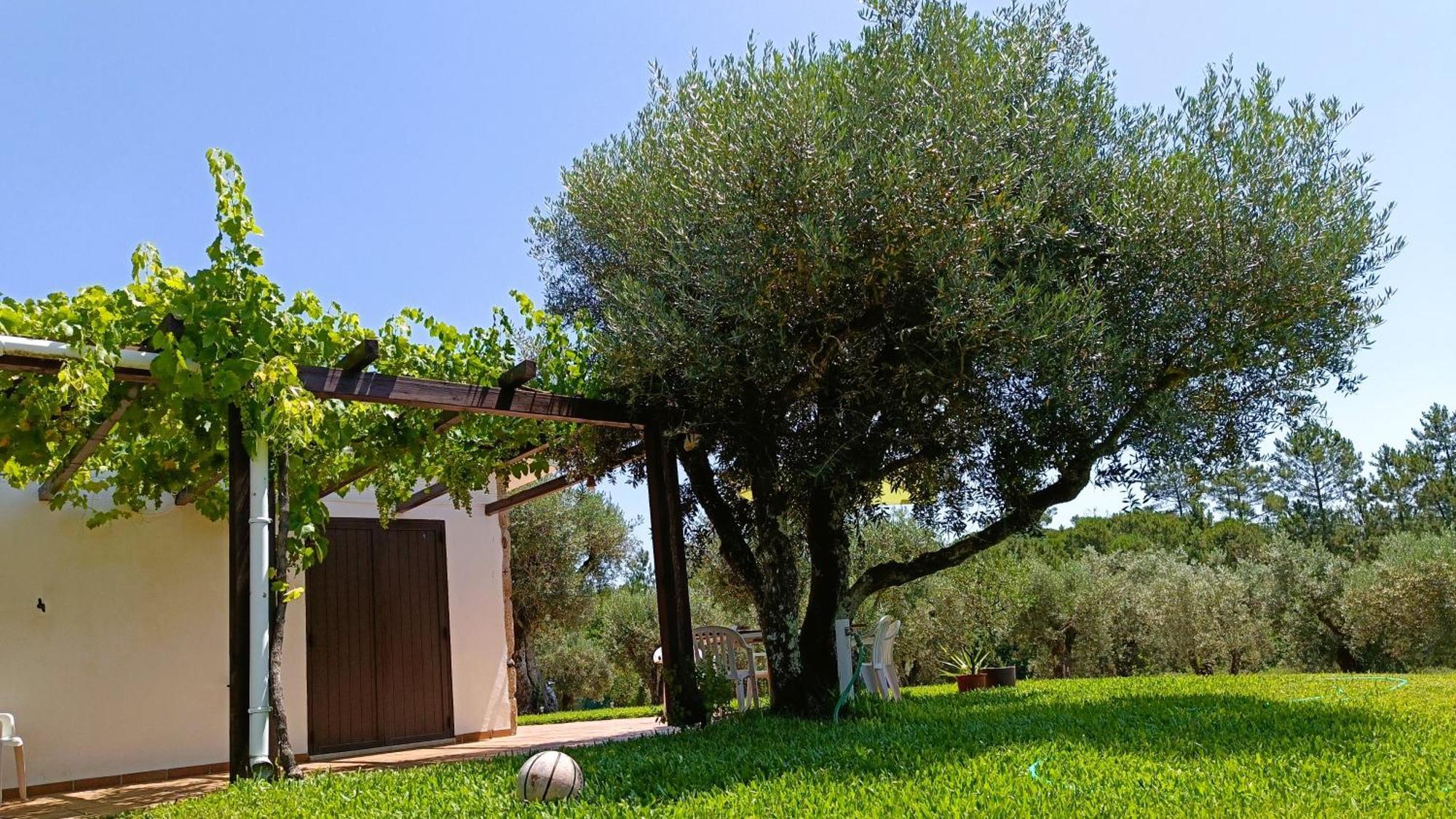 Gasthaus Quinta Da Pedra Mija Santar Exterior foto