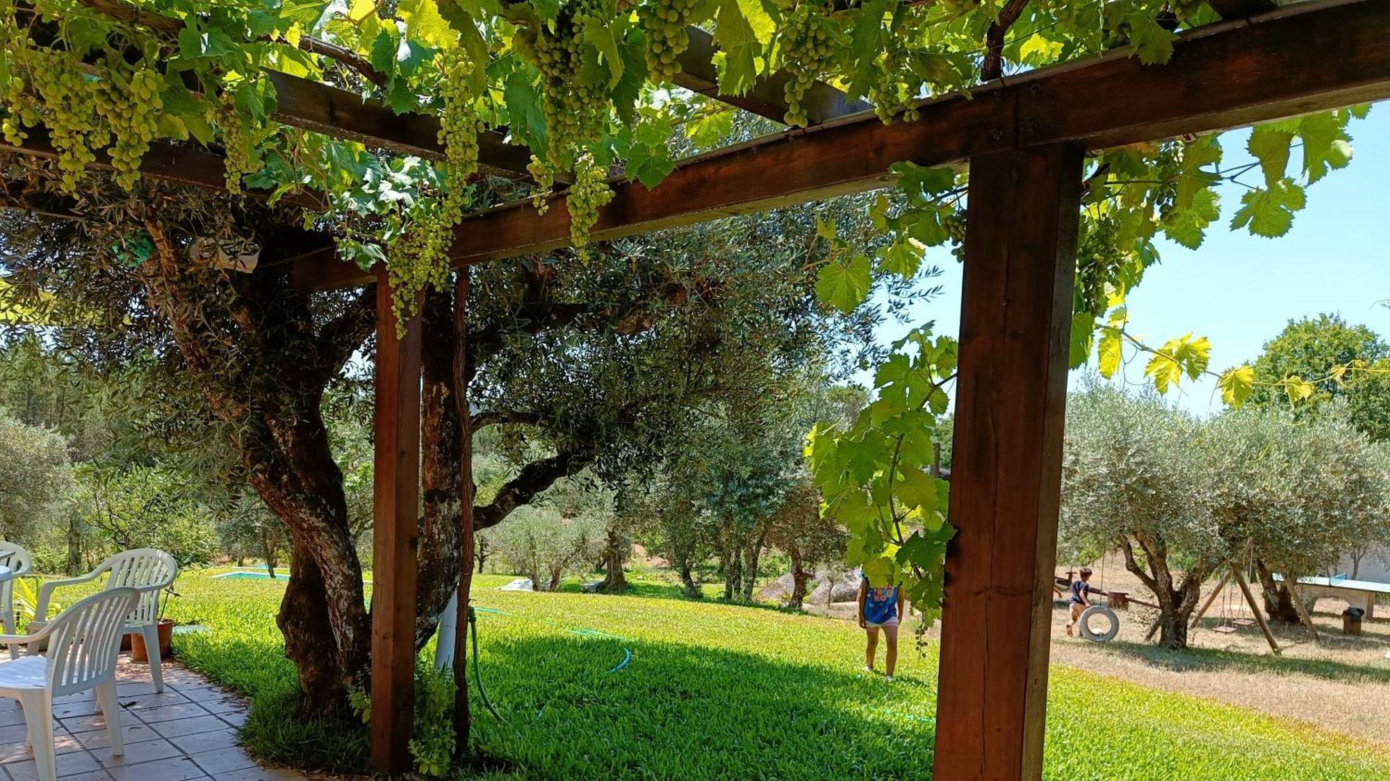 Gasthaus Quinta Da Pedra Mija Santar Exterior foto